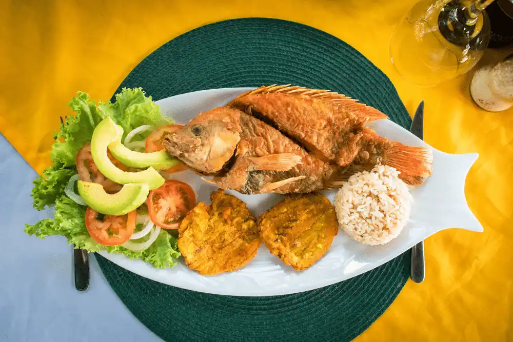 TIPICAL COSTEÑO DISH / PLATO TIPICO  COSTEÑO